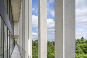 photo-SG-2017-PIUARCH-bureaux-champigny-SITE-B-15