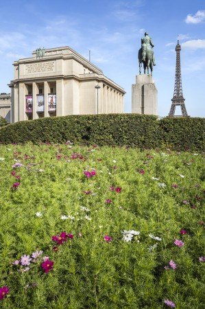 photo-SG-2017-BROSSY-chaillot-SITE-B-02