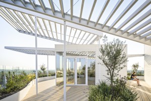 SOU FUJIMOTO - Arbre Blanc - logements - montpellier -SITE-A-044