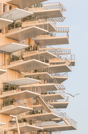 SOU FUJIMOTO - Arbre Blanc - logements - montpellier -SITE-A-025