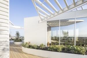 SOU FUJIMOTO - Arbre Blanc - logements - montpellier -SITE-A-045