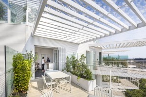 SOU FUJIMOTO - Arbre Blanc - logements - montpellier -SITE-A-013