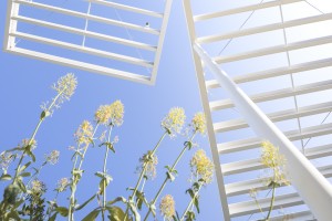 SOU FUJIMOTO - Arbre Blanc - logements - montpellier -SITE-A-049