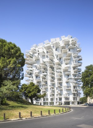 SOU FUJIMOTO - Arbre Blanc - logements - montpellier -SITE-A-053