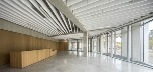 photo-SG-2021-BRENAC-GONZALEZ-bureaux-toulouse-ECR-B-033