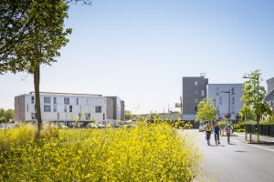 2014 - DUBUS - logements - dunkerque - 40