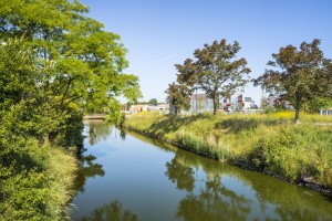 2014 - DUBUS - logements - dunkerque - 28