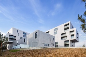 2013 - DUBUS - logements - le havre - 03