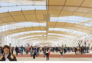 photo-sergio-grazia ECR EXPO milano 2015 - decumano canopy _01