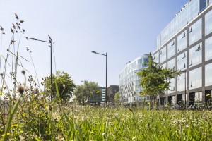 photo-SG-2017-BRENAC GONZALEZ-bureaux-boulogne-SITE-B-11