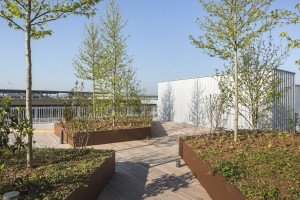 photo-SG-2017-BRENAC GONZALEZ-bureaux-boulogne-SITE-B-10
