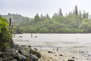 photo-SERGIO GRAZIA-2017-RPBW-centre-culturel-tibajou-noumea-SITE-012