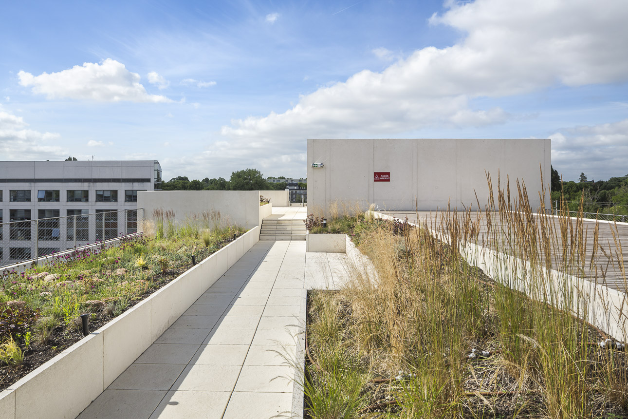 photo-SG-2017-PIUARCH-bureaux-champigny-SITE-B-09