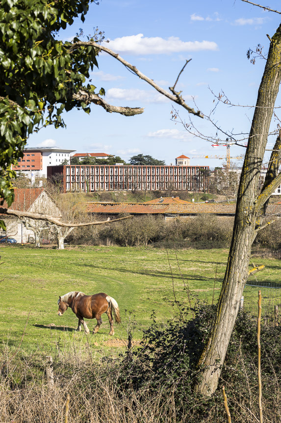 photo-SG-2019-COLBOC-hopital sud-lyon-SITE-D-53