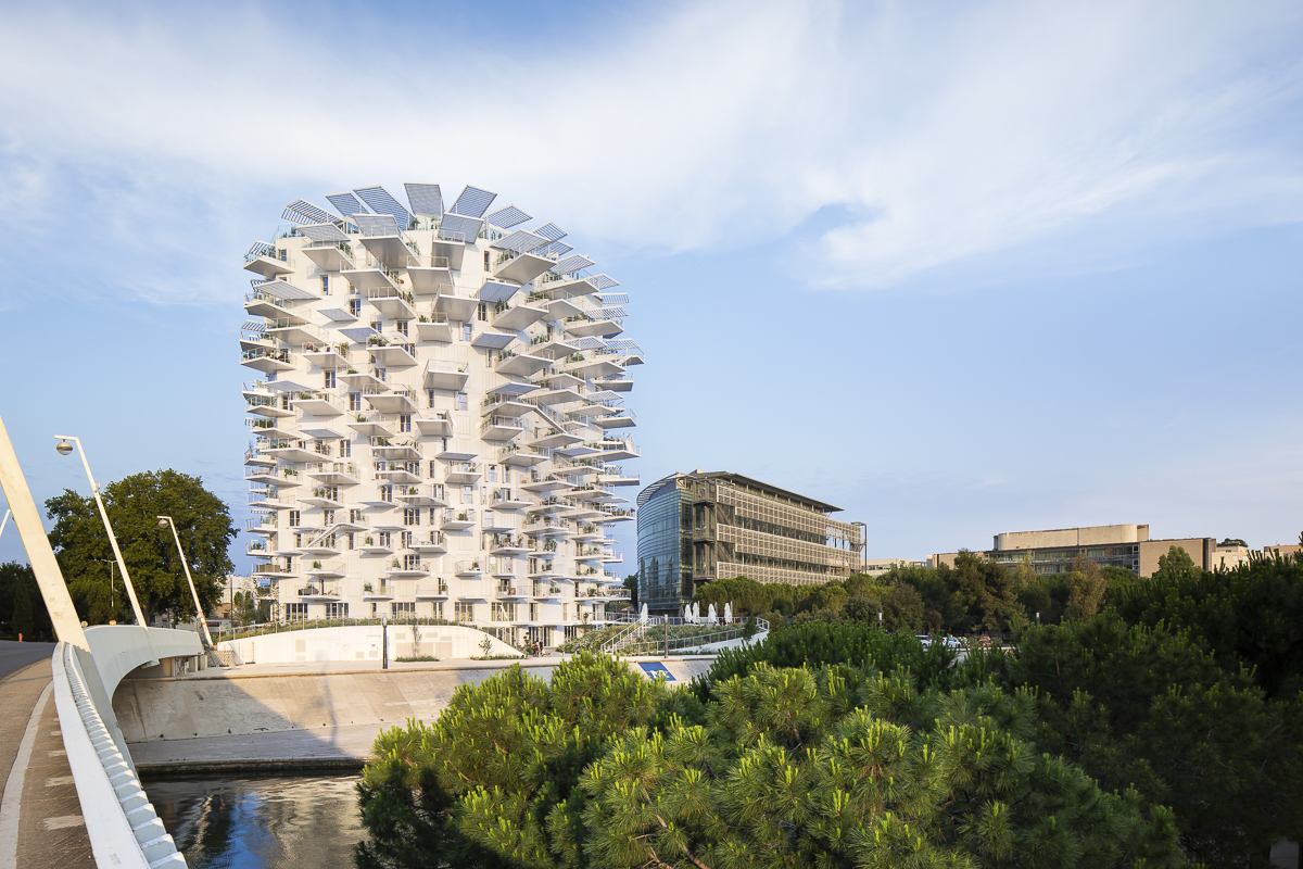 SOU FUJIMOTO - Arbre Blanc - logements - montpellier -SITE-A-021