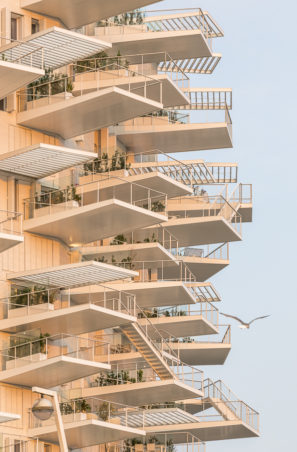 SOU FUJIMOTO - Arbre Blanc - logements - montpellier -SITE-A-025