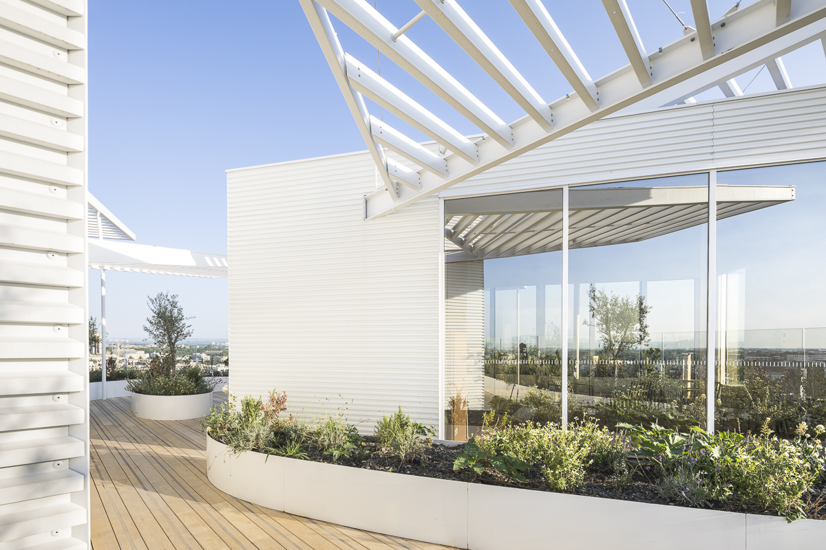 SOU FUJIMOTO - Arbre Blanc - logements - montpellier -SITE-A-045