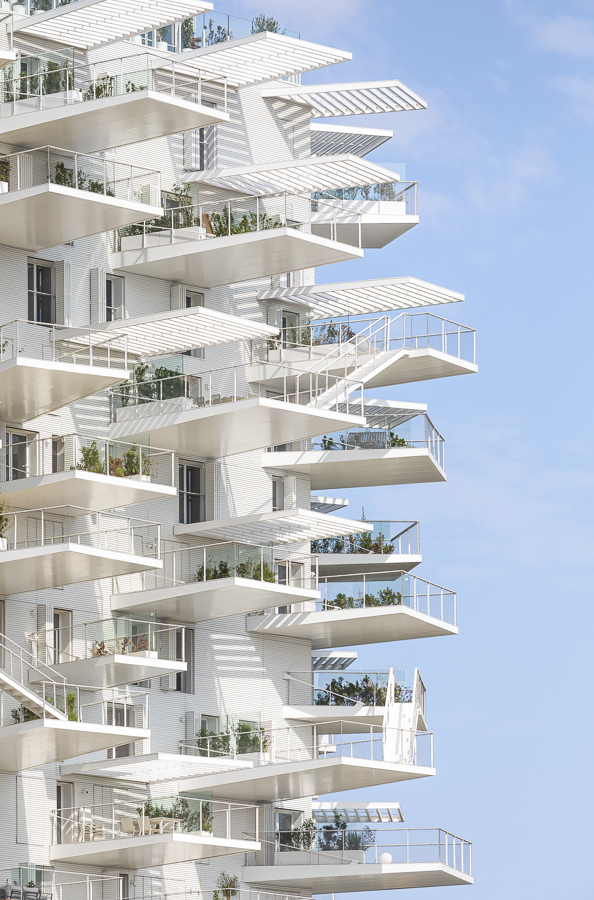 SOU FUJIMOTO - Arbre Blanc - logements - montpellier -SITE-A-004