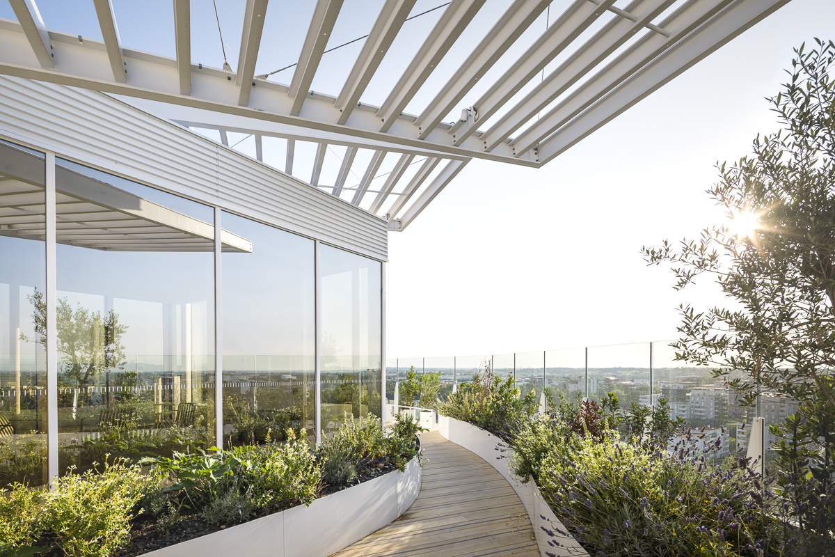 SOU FUJIMOTO - Arbre Blanc - logements - montpellier -SITE-A-046