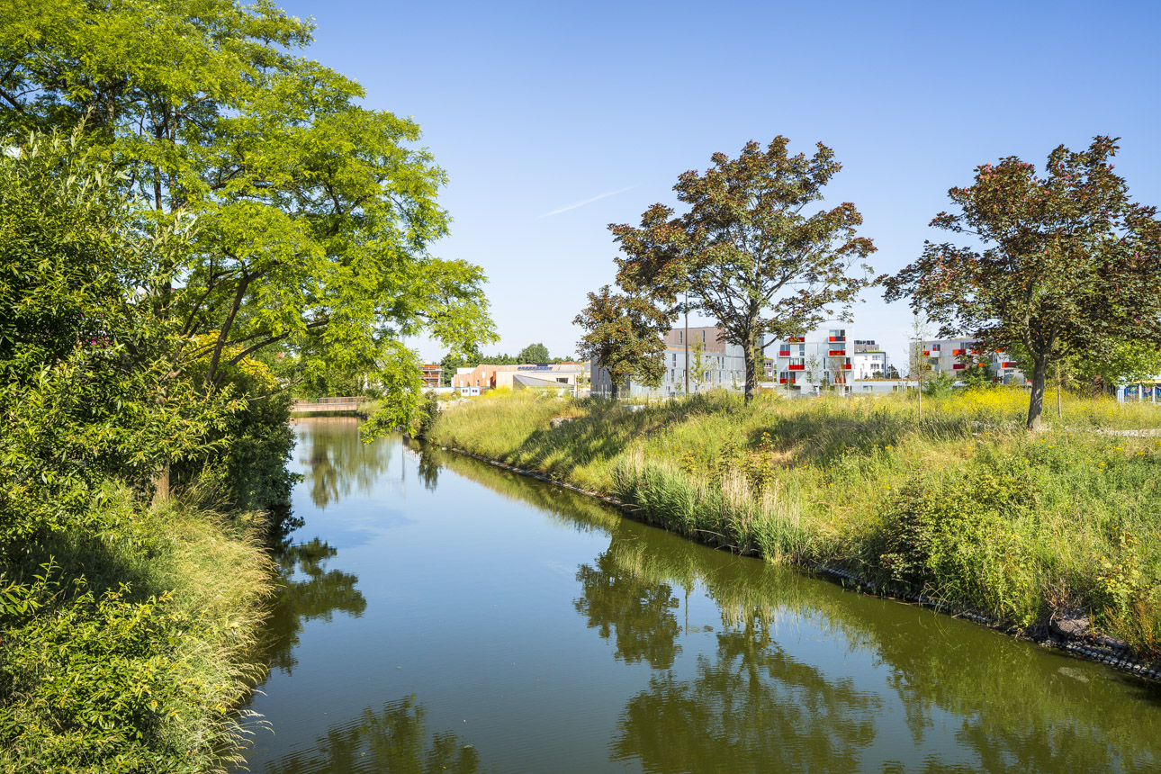 2014 - DUBUS - logements - dunkerque - 28