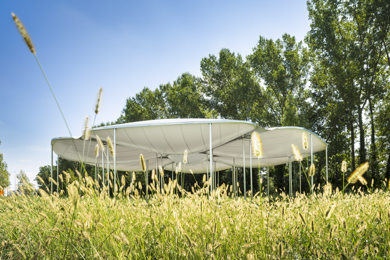 photo-sergio-grazia-AZC-ZUNDEL CRISTEA-flower pavilion_ECR-01