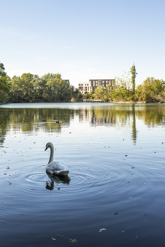 photo-SG-2016-F LECLERCQ-logements-ris orangis-SITE-A-10