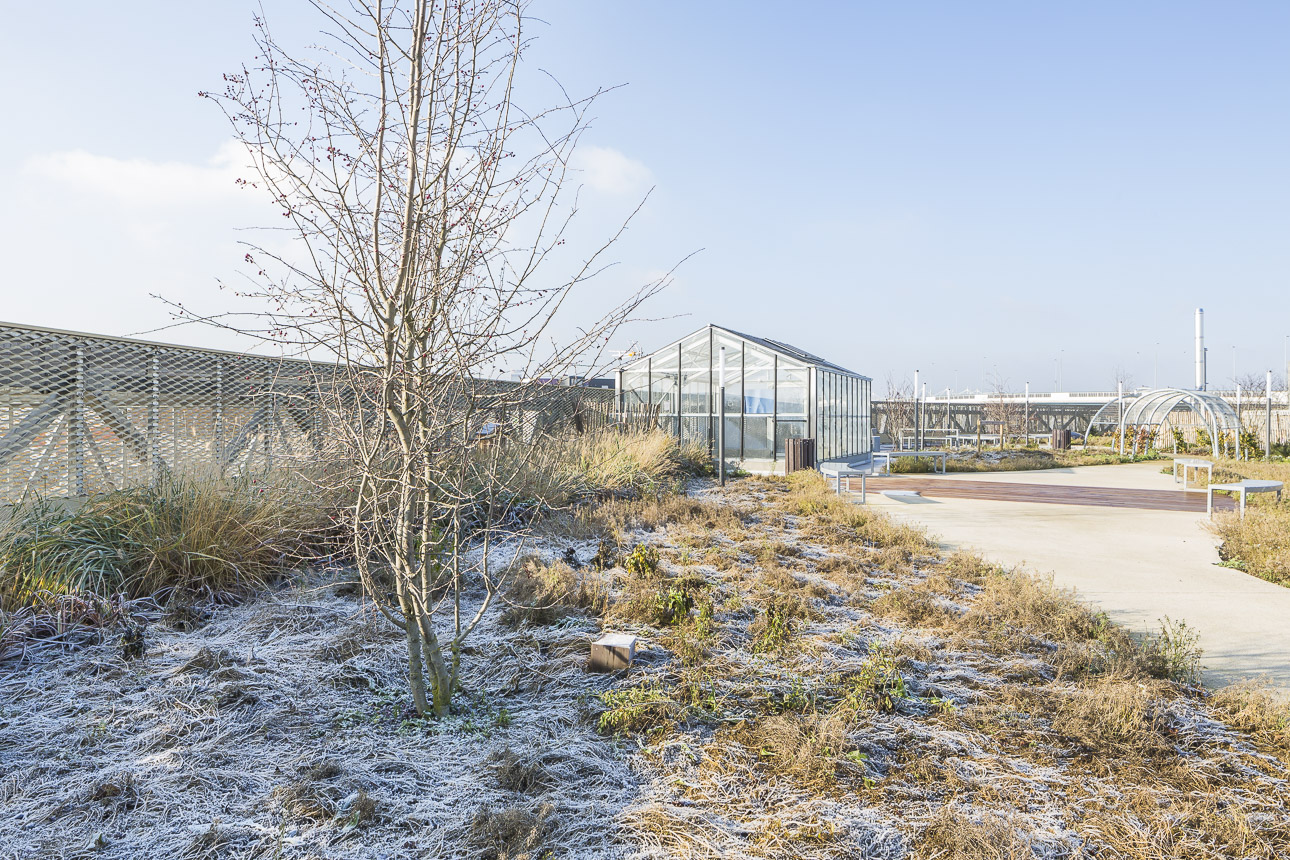 photo-SG-2017-ARCHI5-ecole-aubervilliers-SITE-A-15