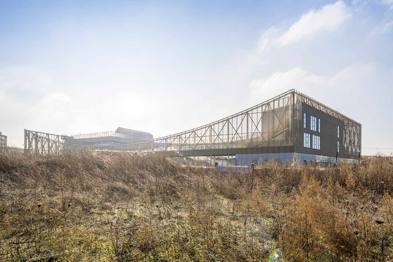 photo-SG-2017-ARCHI5-ecole-aubervilliers-SITE-A-05