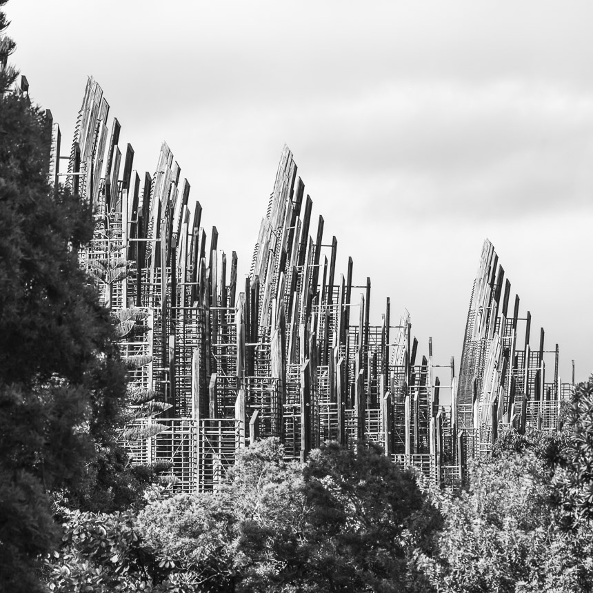 photo-SERGIO GRAZIA-2017-RPBW-centre-culturel-tibajou-noumea-SITE-002