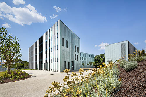 Université de Provence